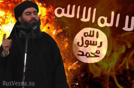 Минобороны неожиданно ответило на заявления об убийстве главаря ИГИЛ