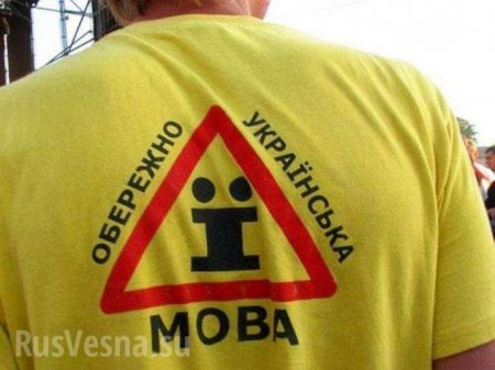 «Тут пока ещё Украина», — туристка в Закарпатье устроила скандал из-за венгерского языка (ВИДЕО)
