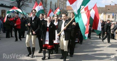 «Интервенция состоялась» — известная русофобка подняла панику из-за Закарпатья и Венгрии (ВИДЕО)