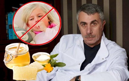 ОРВИ пройдёт за день: Комаровский рассказал как лечить кашель медовыми сотами