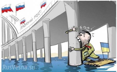 «Откуда ж вы, такие идиоты, берётесь?»: украинский генерал грозит уничтожить Крымский мост из-за Новороссии (ВИДЕО)