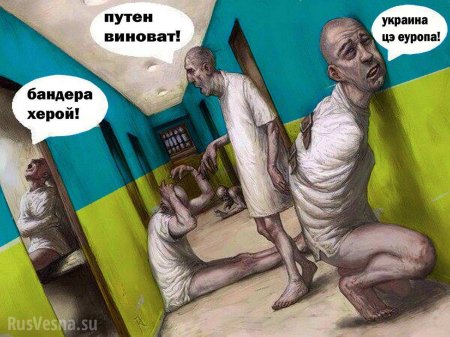 Как выглядят днепропетровские каратели-психи (ФОТО)
