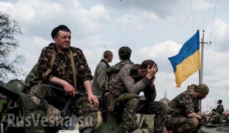 Каратели-психи на Донбассе: режут командиров и переворачивают танки (ВИДЕО)