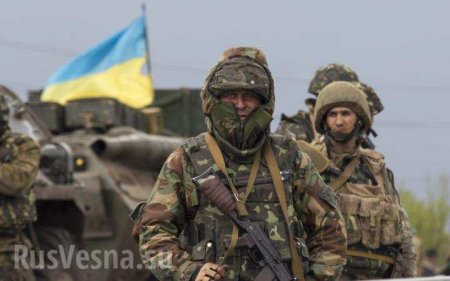 Психи самоуничтожаются: На Донбасс прибыли спецгруппы, чтобы спасти ВСУ от самих себя (ВИДЕО)