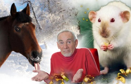 Лошадь Крысе не товарищ: Кого ждут неудачи в 2020 году, рассказал астролог