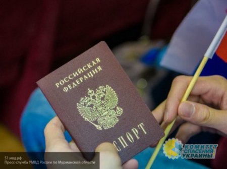 Стало известно количество граждан Украины, получивших паспорт РФ в 2019 году