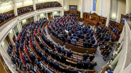 Украинского депутата поймали на странном поведении прямо в зале заседаний (+ВИДЕО)