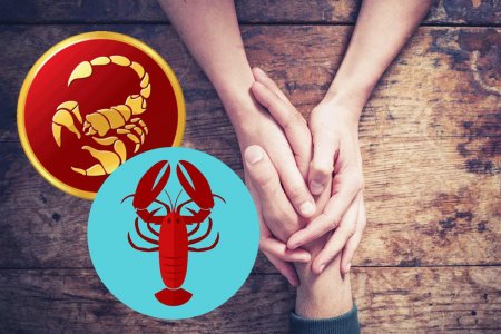 Клешня в клешне: Почему Рак и Скорпион признаны идеальной парой?