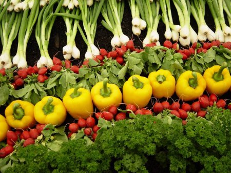 Беларусь нарастила экспорт сельхозпродукции