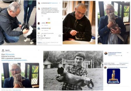 Ходорковский и Соболь… Два лица, один проект