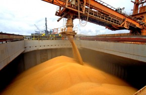 Хлебом не корми: российская пшеница стала дороже нефти