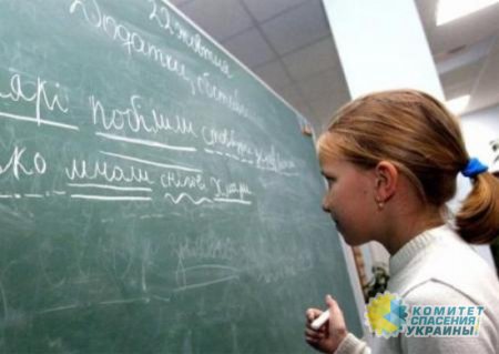 Шуфрич и полсотни нардепов через КСУ обжаловали закон «О среднем образовании»