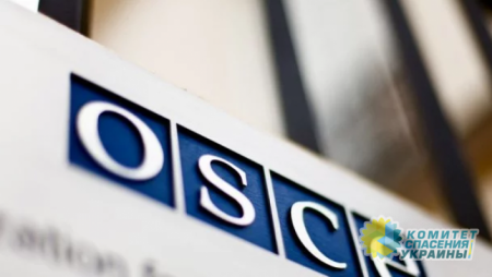 ОБСЕ призвала к полному перемирию на Донбассе из-за коронавируса