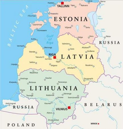 Прибалтийский бизнес в России обнаглел вконец – пора принимать жесткие меры