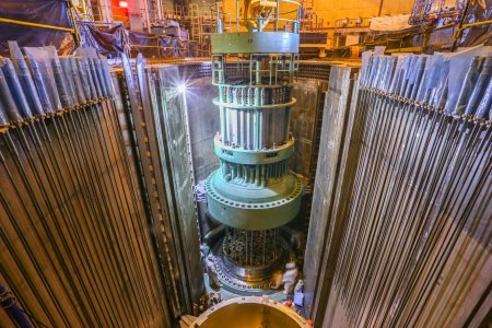 БелАЭС приняла первое ядерное топливо