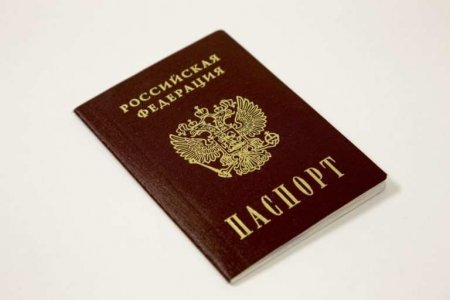 Путин пообещал дать российское гражданство итальянскому преподавателю