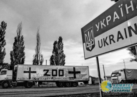 Россия передала Украине «200-х»