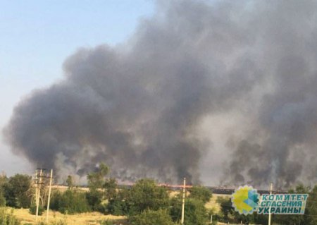 Украинские боевики уничтожают зерно на освобождённых территориях