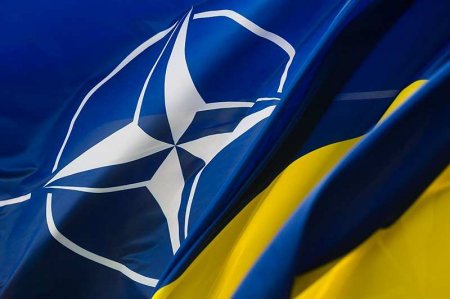 В Венгрии озвучили, сколько ЕС и НАТО потратили на оружие для Киева (ВИДЕО)