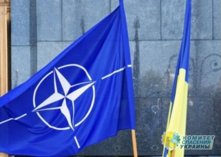 Сенат Польши запустил процедуру принятия Украины в НАТО по упрощённой процедуре