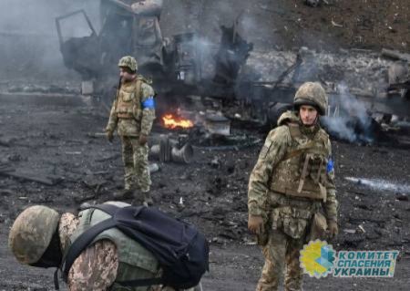 Украинцам запретили публиковать кадры с фронта в онлайн-режиме