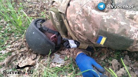 Жуткие кадры: трупы украинских боевиков на занятых опорниках ВСУ (ВИДЕО 18+)