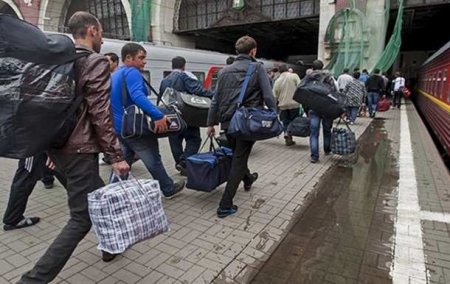 В Госдуме предлагают запретить мигрантам работать в школах, больницах и такси