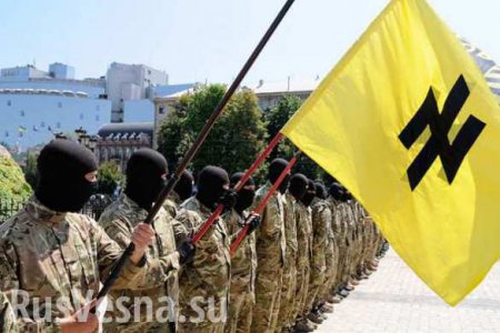 Неонацисты из «Азова» устроили в Черкассах факельное шествие и сожгли российский флаг (ВИДЕО)