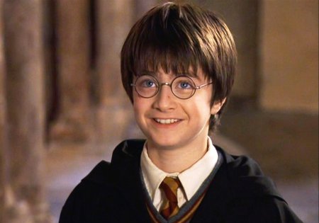 В Интернете стартовал флешмоб "Гарри Поттер и ..."