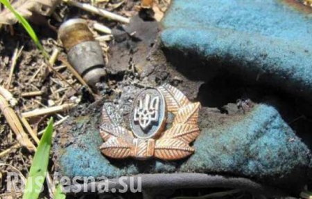 ЛНР передала Украине тело военного ВСУ, брошенного сослуживцами раненым у Логвиново