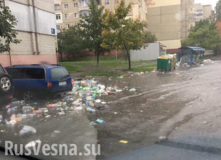 Потоп во Львове: Прорывы канализации, пробки и плавающий мусор (ФОТО, ВИДЕО)