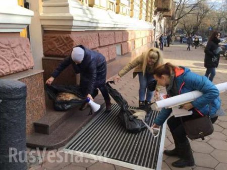В Одессе к зданию нацполиции принесли трупы собак (ФОТО 18+)