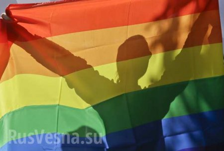 Особое приглашение: в США хотят упростить выдачу грин-карт гомосексуалистам из России
