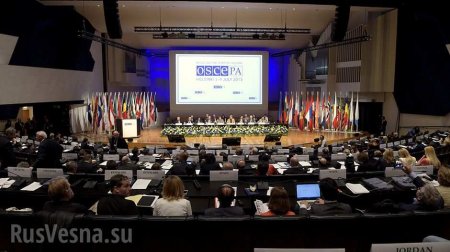 Российская делегация покинула заседание Парламентской ассамблеи ОБСЕ