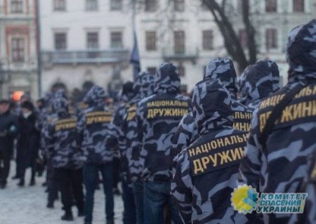 Bellingcat увидел фашизм в Украине: неонацистов «Азова» и «Национальных дружин» натаскивали в польских военных лагерях
