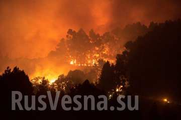 Страшные пожары на Канарах: эвакуированы тысячи человек (ФОТО, ВИДЕО)