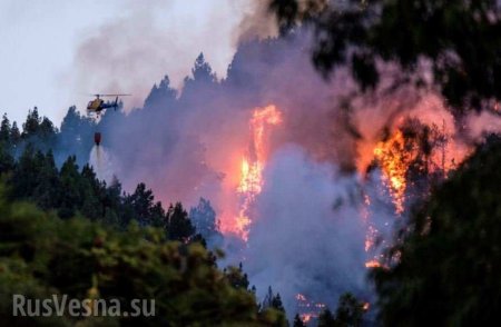 Страшные пожары на Канарах: эвакуированы тысячи человек (ФОТО, ВИДЕО)
