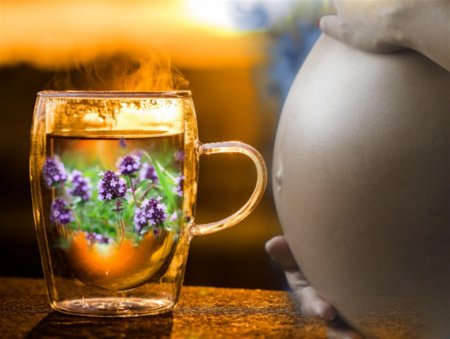 Чабрец в чай – о запоре забывай: ТОП-3 проблемы после родов решает один напиток