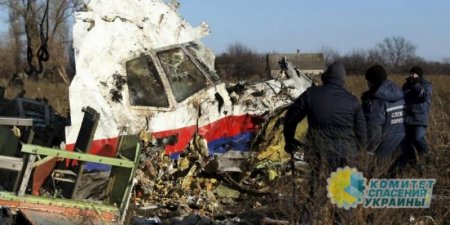 Нидерланды будут расследовать причастность Украины к крушению Boeing над Донбассом