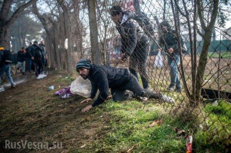 Австрия обещает защитить свои границы от мигрантов