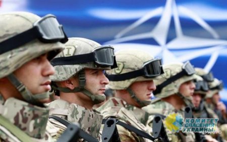 Зеленский разрешил присутствие войск НАТО на Украине