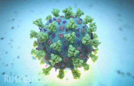 Это миф: учёный рассказал, как нельзя заразиться коронавирусом