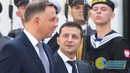 Азаров: Зеленский взялся разрушать отношения с Польшей
