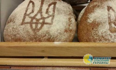 Хлеб и мука рассекретили численность населения Украины