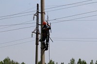 В Ленобласти 312 км неизолированного провода заменили на СИП